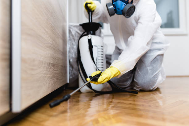 Best Pest Control Near Me  in Bakersfield, CA