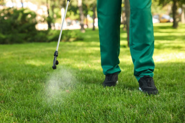 Best Emergency Pest Control  in Bakersfield, CA