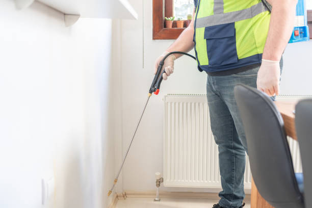 Wasp Removal Services in Bakersfield, CA
