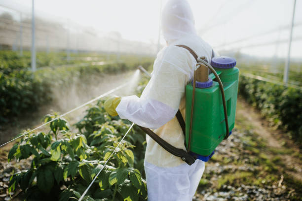 Best Bed Bug Extermination  in Bakersfield, CA